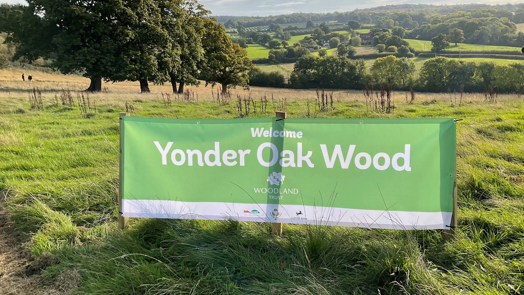 First planting takes place for new wood to help boost wildlife levels